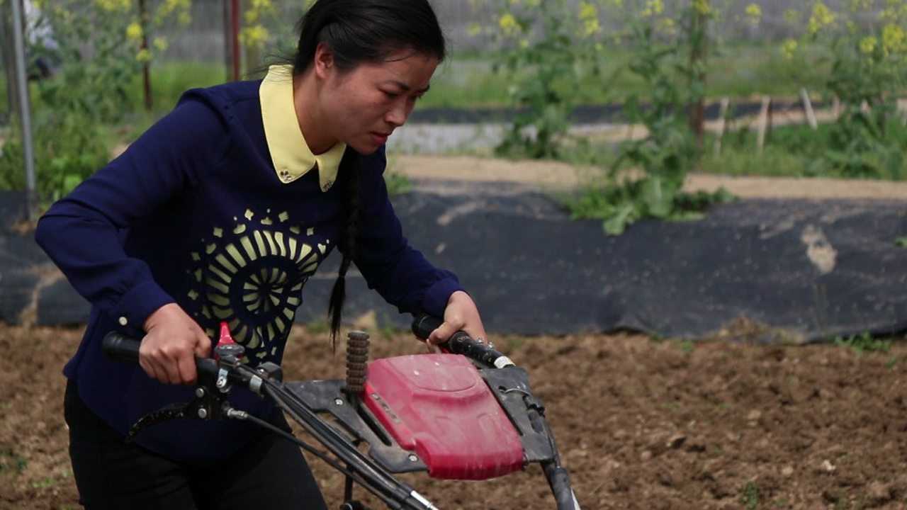 女硕士回村种地，同学聚会成难题