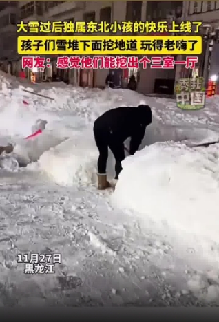 东北雪下奇迹，孩童挖雪现三室一厅，人与自然和谐共生之典范