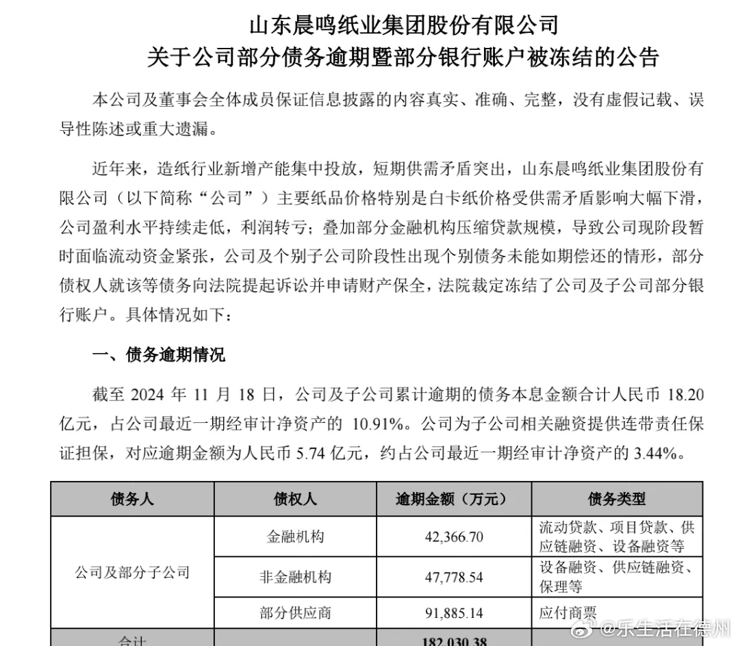 晨鸣纸业债务逾期应对，挑战与机遇并存