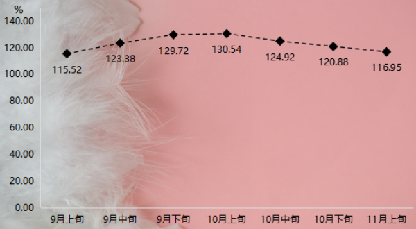 2024年12月8日 第30页