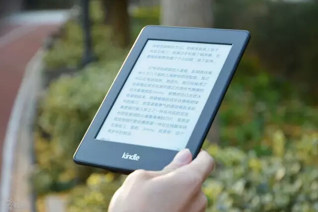 2024新澳门精准免费大全,精细化策略解析_Kindle81.608