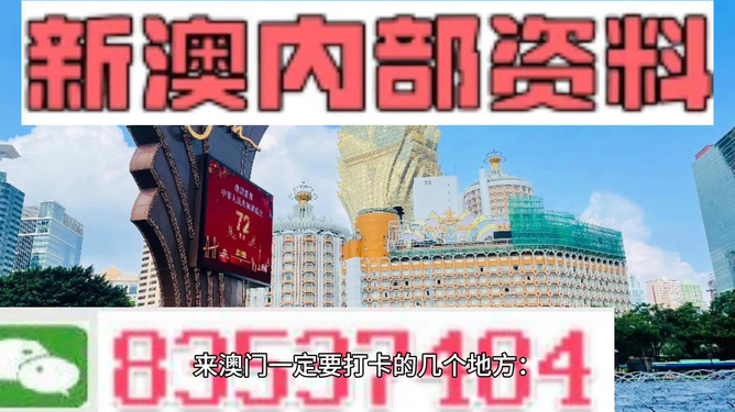 新澳门正版精准免费大全,前沿解析说明_超值版81.389