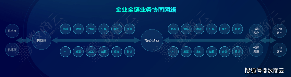 王中王资料大全料大全1,实效性策略解读_P版71.146