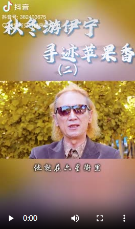 苹果香歌词的魅力与深远影响