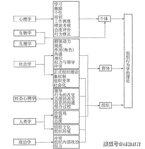 新奥门资料免费单双,理论研究解析说明_GT67.383