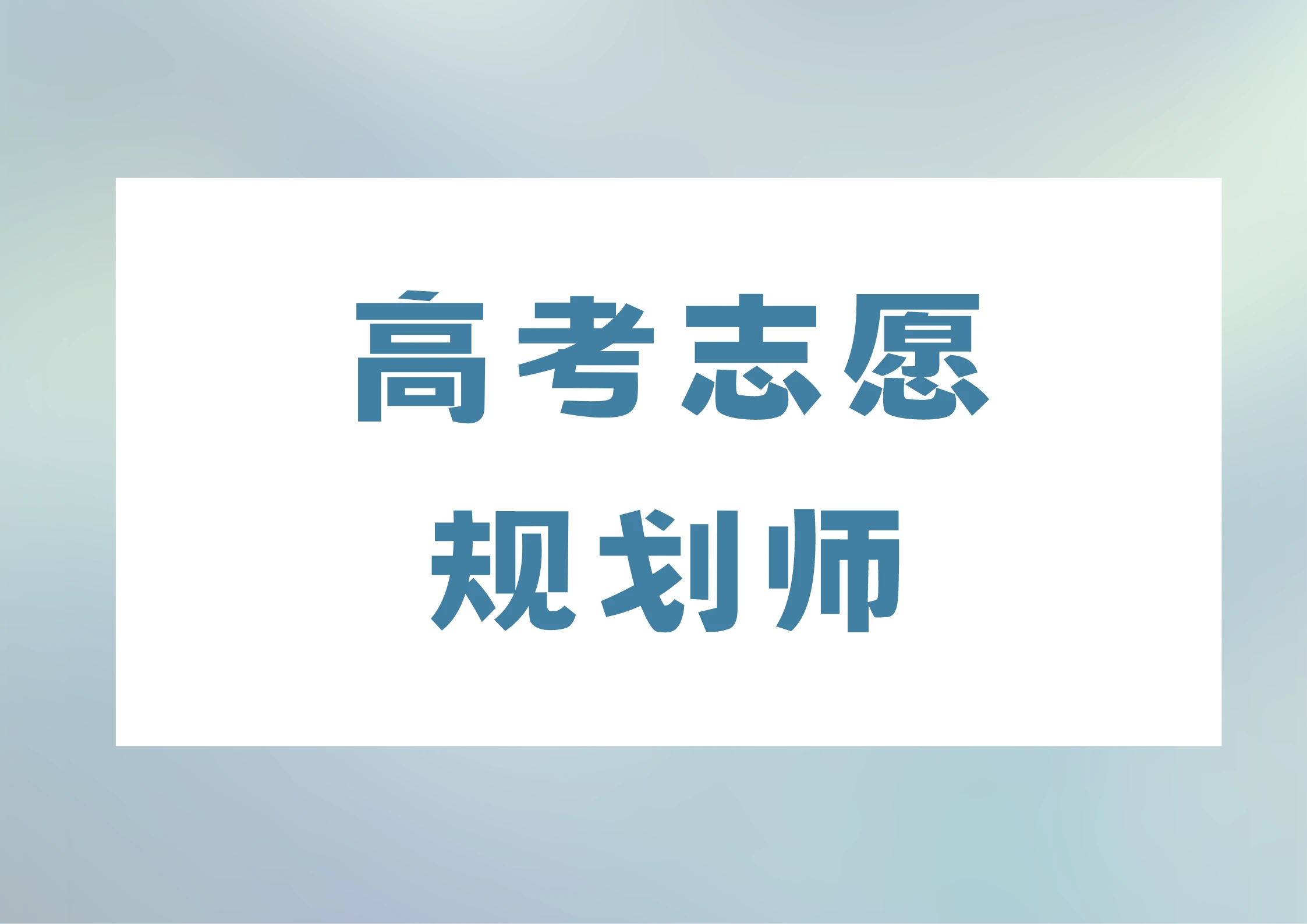 2024年12月12日 第41页