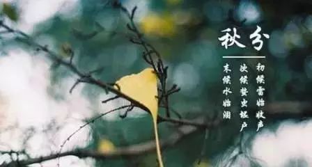 秋分时节凉风起，自然之韵与人生感悟