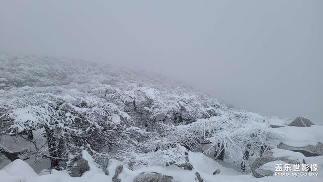 冰晶顶，探寻神秘魅力与海拔之巅的旅程