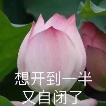 立冬季节之交的神秘面纱探寻