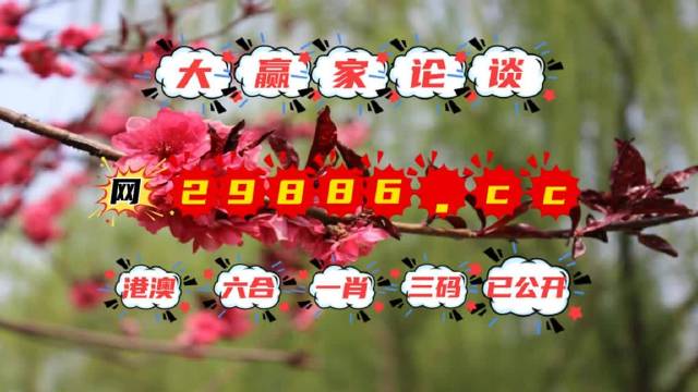 澳门神算子(一肖一码)444298,实地考察数据应用_Pixel49.916