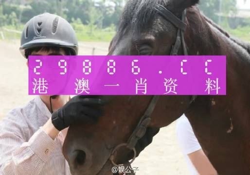 澳门必中一一肖一码服务内容,适用计划解析_顶级版15.254