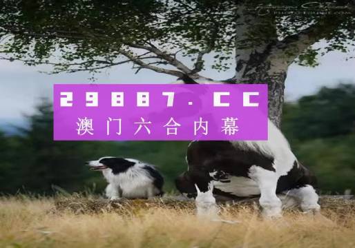 2024今晚澳门跑狗图,时代解析说明_专业版77.302