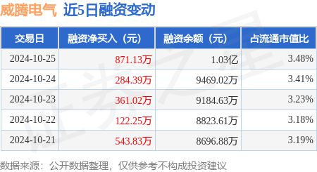 王中王中特网资料大全,精细化策略解析_9DM25.871