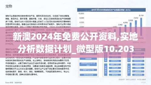 2024新澳最准确资料,稳定设计解析策略_NE版56.643