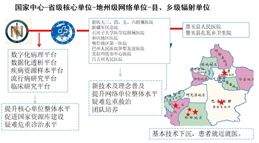 一肖一码一特一中,功能性操作方案制定_网红版15.545