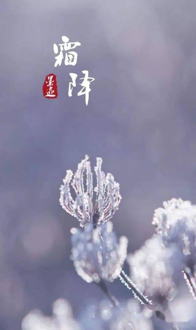 霜降节气，含义与文化影响探析