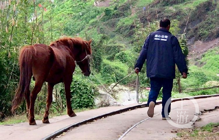 贵阳与重庆，大爷的马车之旅