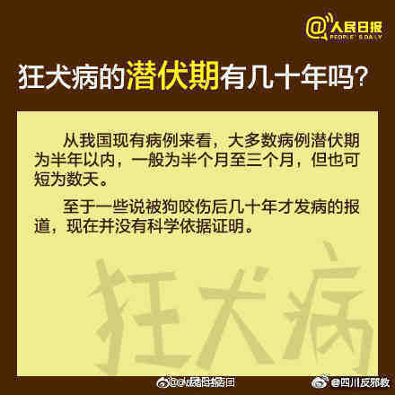 狂犬病再次夺命，关注、预防与应对