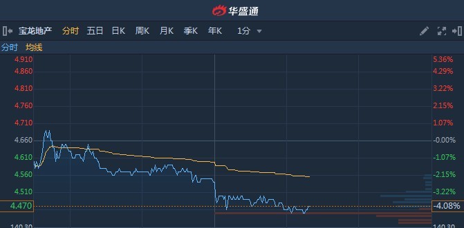 港股明星股01238深度解析