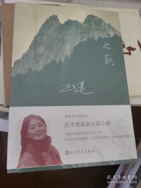 迟子建作品，北国风情与人性探索的文学之旅