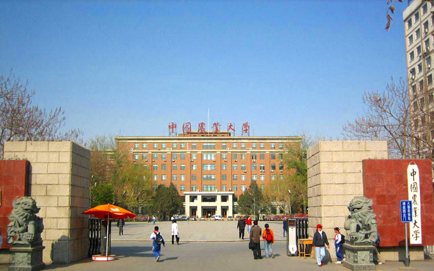 中国农业大学，历史背景与教育地位解析——是985学校吗？