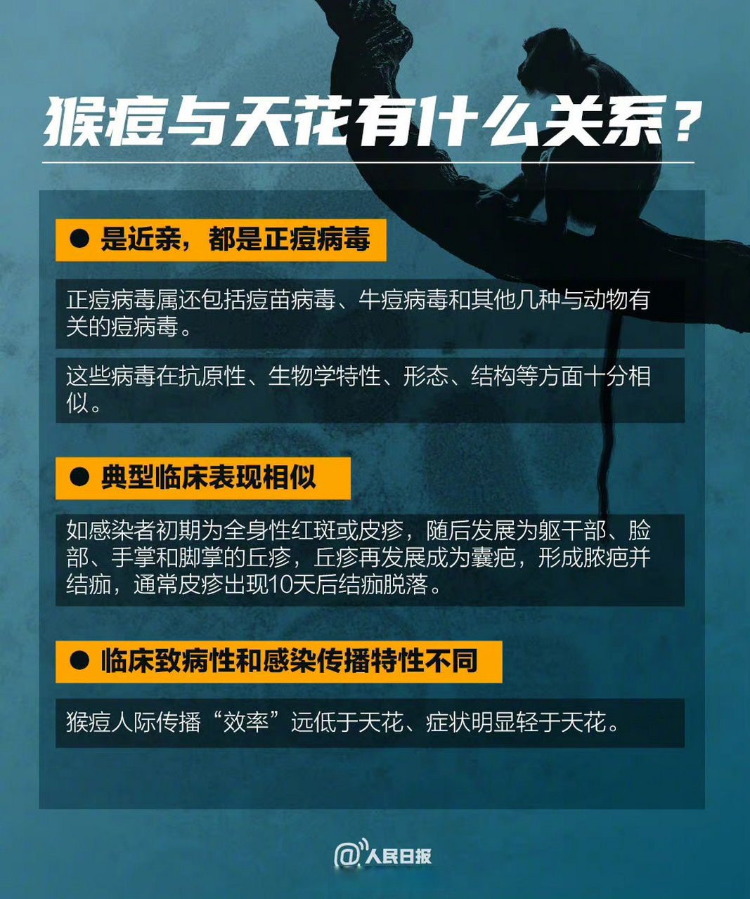 猴痘病毒，症状及危害深度解析