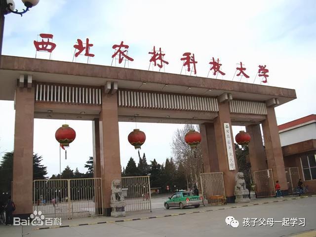 西北农林科技大学专业深度解析与探讨