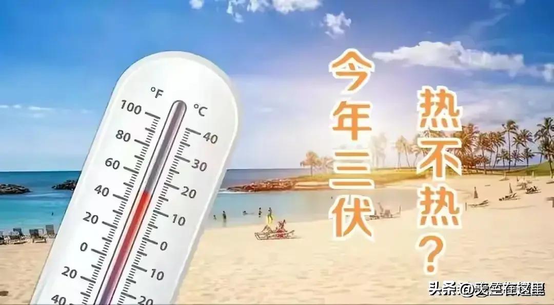 三伏天时间表及应对策略，以2024年为例