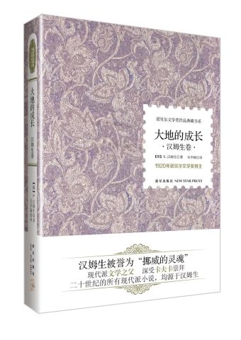 韩江诺贝尔文学奖作品，文学的魅力与深远影响