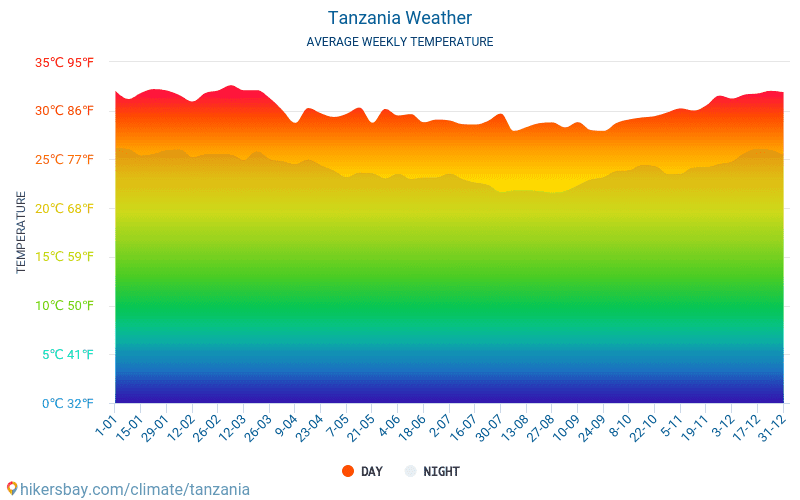 坦桑尼亚全年气温概览