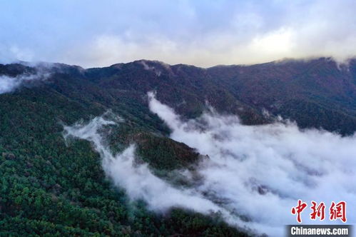 哀牢山景区开发争议，面临发展与保护的挑战平衡