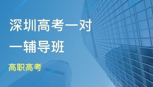 中国高考复读机构深度解析与探讨