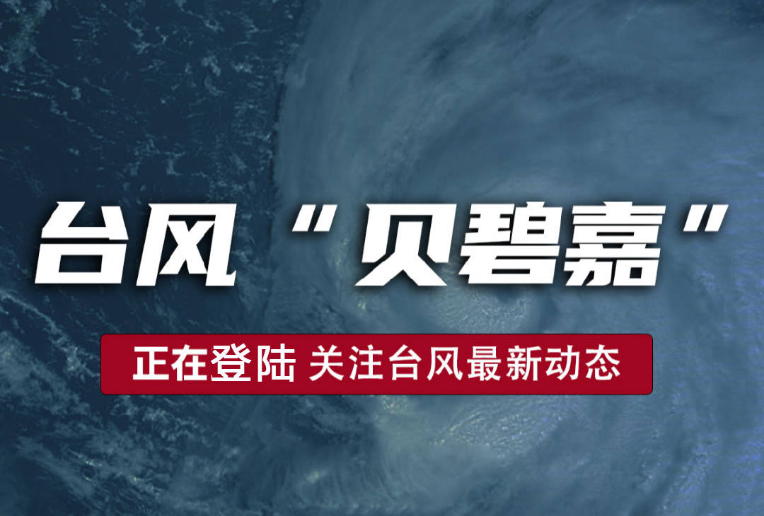 贝碧嘉台风等级与影响深度分析