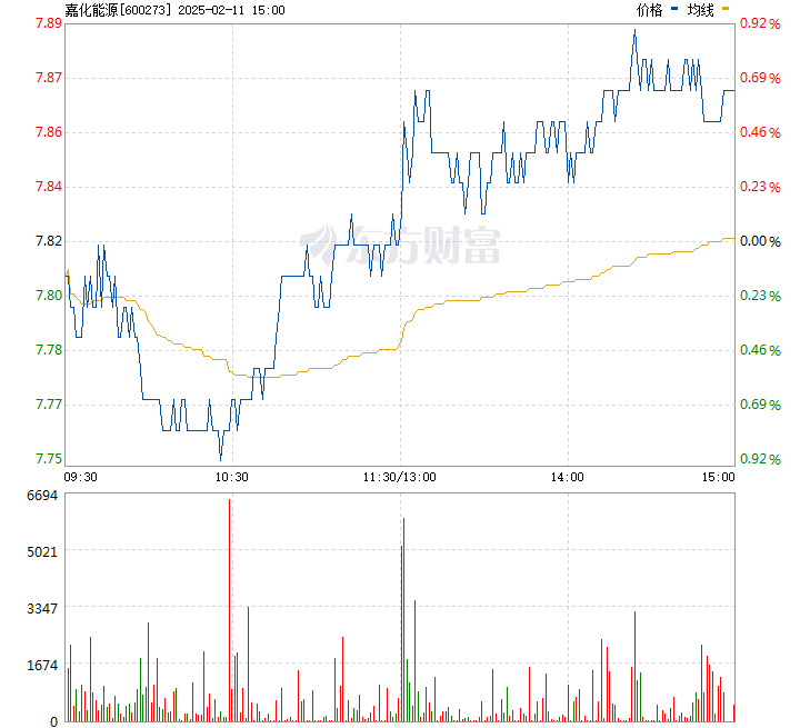 上海嘉化股票投资热点及前景展望，股吧热议话题