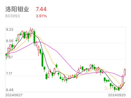 洛阳钼业股票，深度探究与未来展望