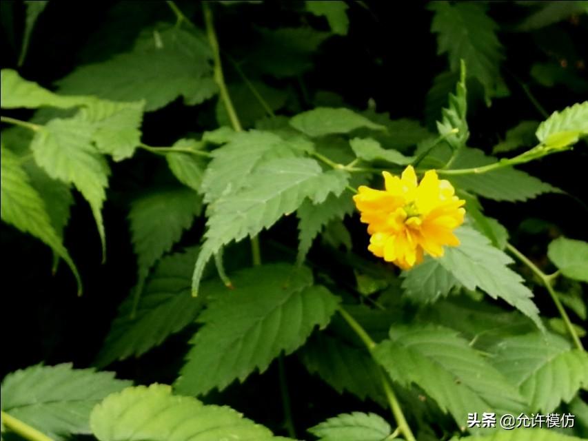 小暑六月节，意义与深层内涵解析