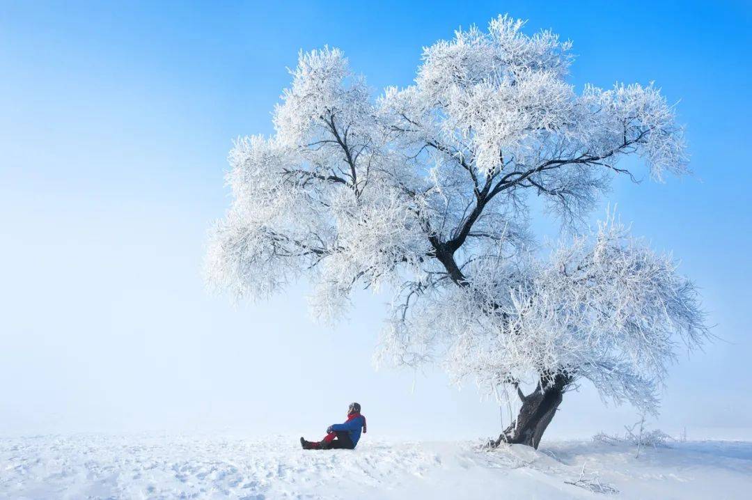 冰晶山顶探险，冰雪世界的冒险之旅